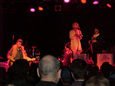 eels photo