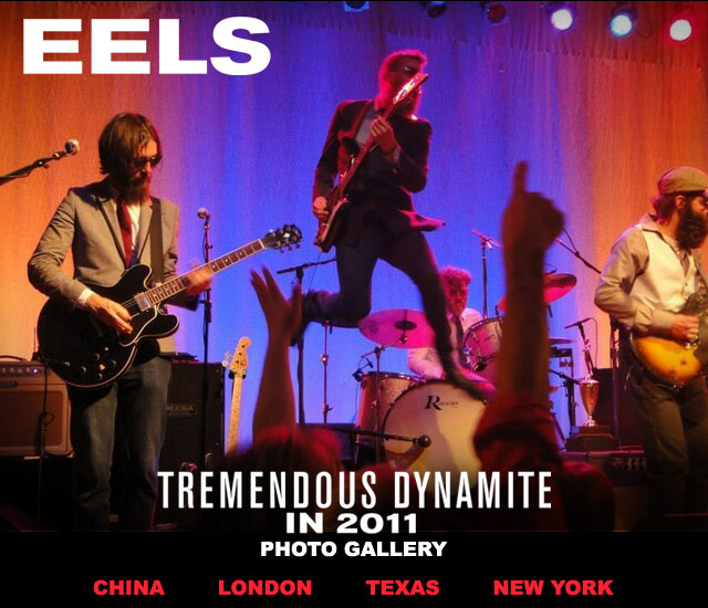 Eels Tremendous Dynamite in 2001 Gallery