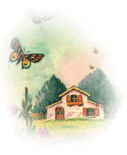 Amber's Guesthouse