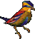 bird
