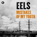 mistakes of my youth