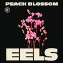 Peach Blossom