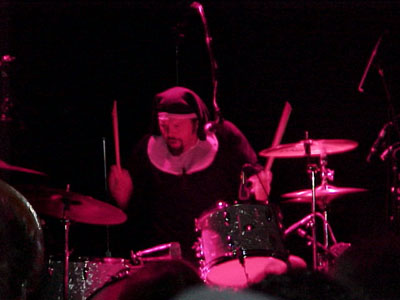 eels photo
