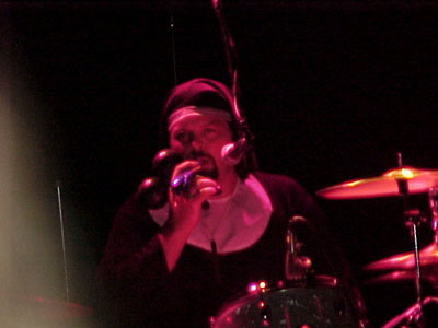 eels photo