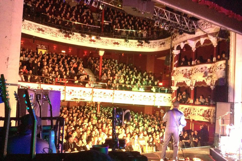 eels 2013