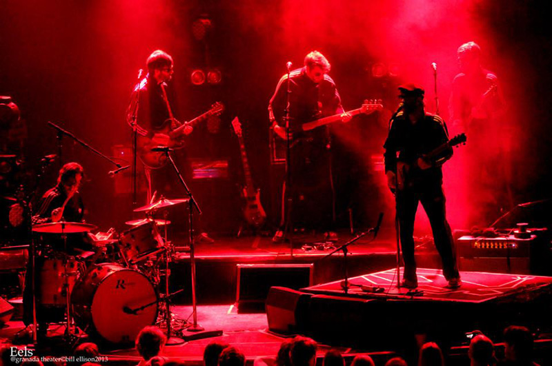 eels 2013