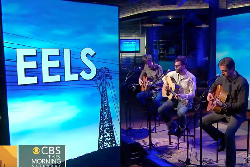 eels 2014