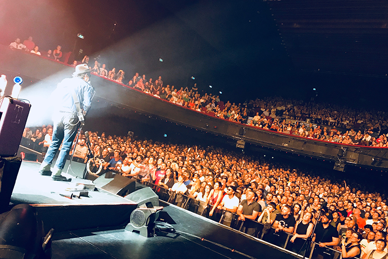 eels 2018