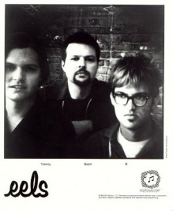 EELS 1996