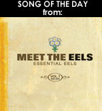 meet the eels
