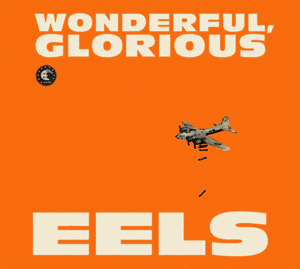 WONDERFUL GLORIOUS