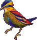 birdy